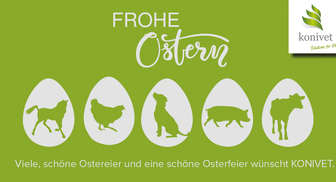 Frohe Ostern 2025