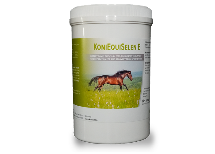 KoniEquiSelen E Gebinde