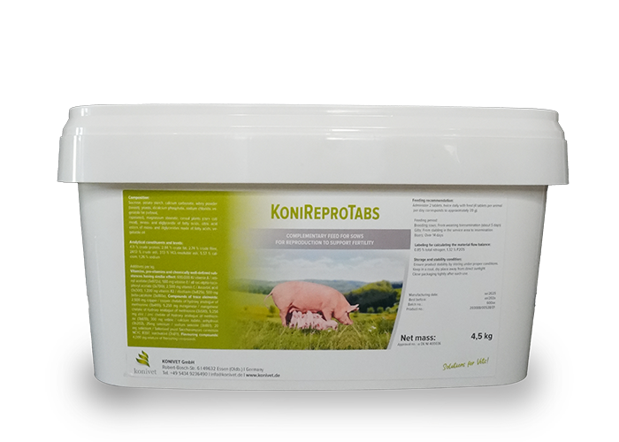 KoniRepro Tabs Gebindefoto