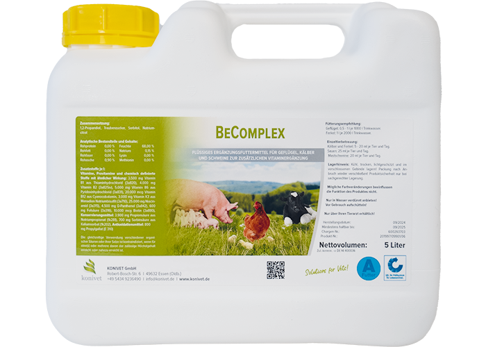 BeComplex-700x500 BeComplex Gebinde