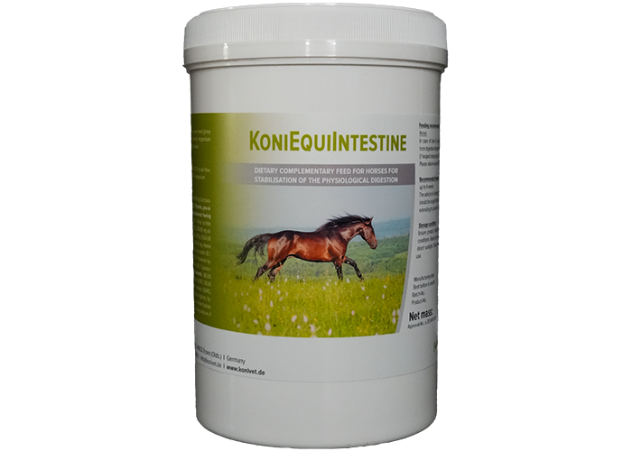KoniEquiIntestine-700x500 KoniEquiIntestine Gebinde