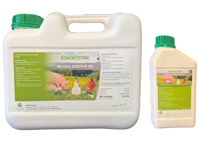 koniintestine-kanister-flasche KoniIntestine Gebinde